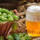 The 3 Main Types of Hops: Bitter, Flavor, and Aroma