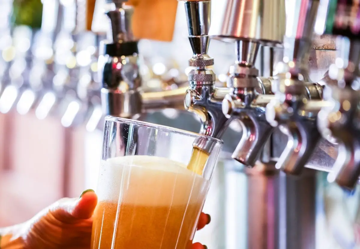 Why Does Draft Beer Taste So Good?