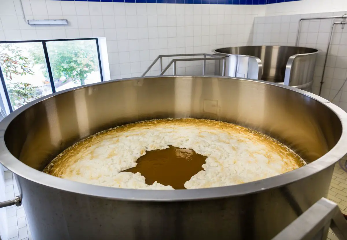 What is Wort in Beer and the Brewing Process?